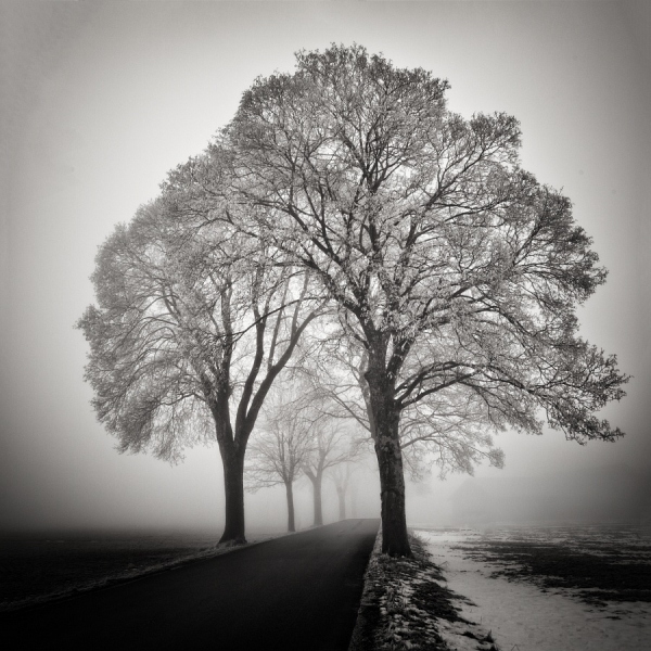 Photograph Uwe Langmann Frosty Rime on One Eyeland